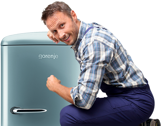 Ремонт холодильников Gorenje. Ремонт холодильников Горенье. Ремонт холодильников Горенье на дому в Москве. Ремонт холодильника горенье